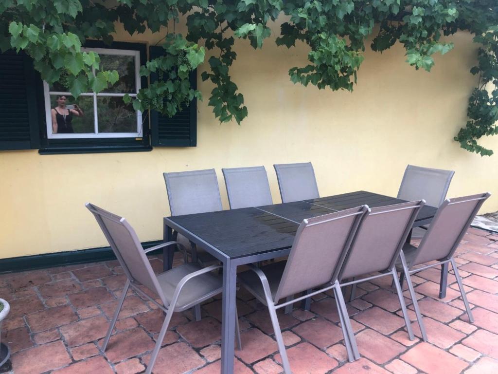 Villa Winzerhaus mit Fernblick Krems an der Donau Exterior foto